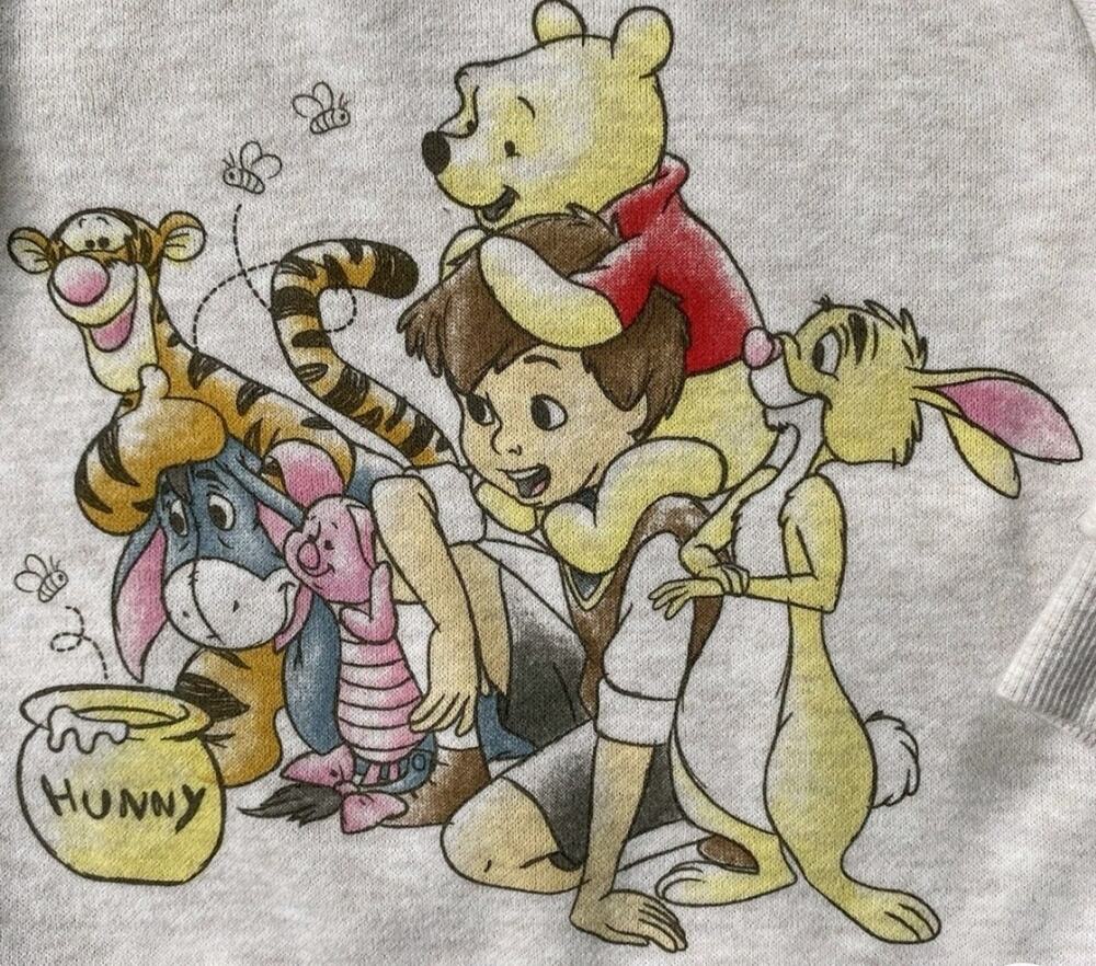 Winnie the Pooh Sweatshirt 6 9 Months Gray Tigger Piglet Eeyore Rabbit Disney VG